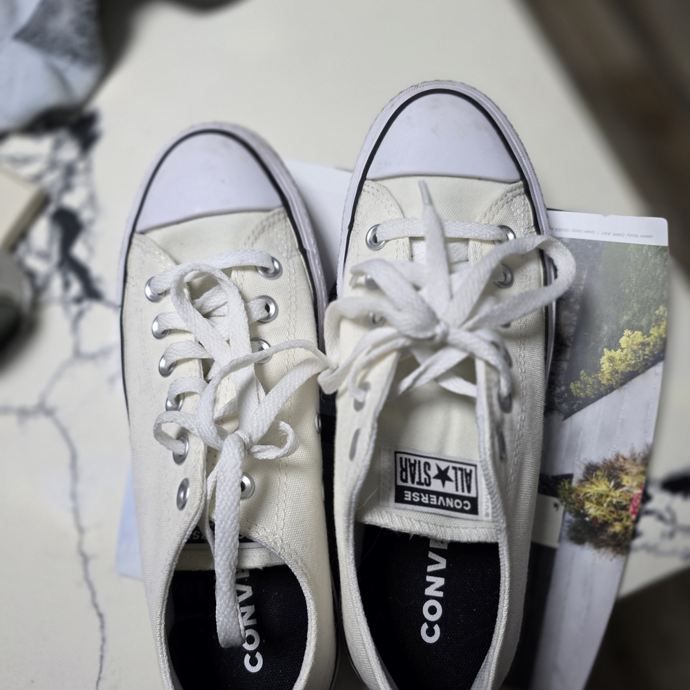 Converse White Low-Top Sneakers